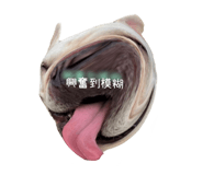 545867346