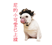 545867348