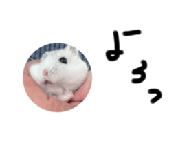 545870400