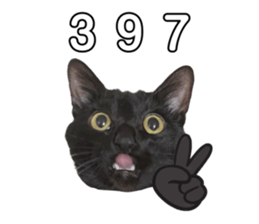 545883529