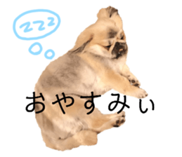545893335