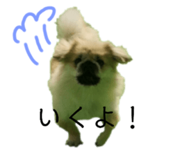 545893342