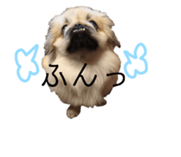 545893343