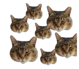 545913858