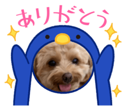 545919240