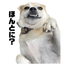 545929671