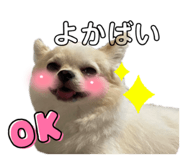 545955911