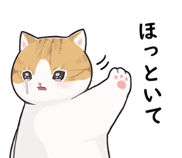 545966451