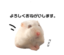 545985598