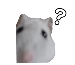 545985618