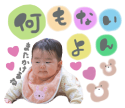 546003338