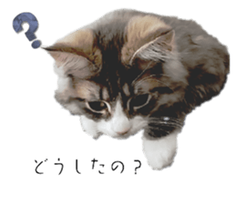 546020996
