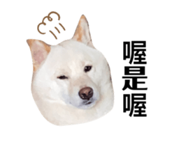 546036196