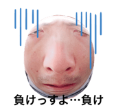 546052582