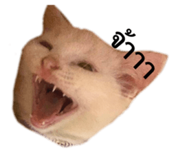 546071972