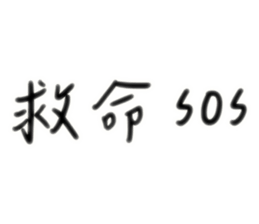 546093215