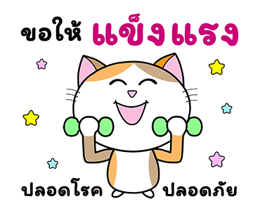 ก๊วนแมวเหมียว x RMSเพลงมงคล ส่งสุขตลอดปี รูปที่ 11