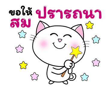 ก๊วนแมวเหมียว x RMSเพลงมงคล ส่งสุขตลอดปี รูปที่ 15