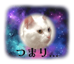 546118148