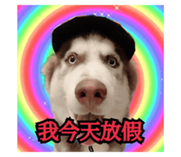 546122641