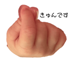 546132220