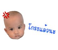 546136817