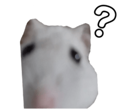 546144330