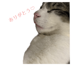 546153837