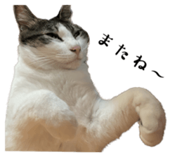 546153844