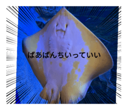 546156741