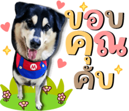 546188119