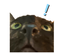 546210403