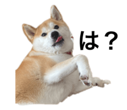 546292249