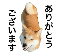 546292255