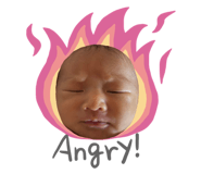 546293052