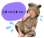 546293054