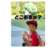 546337040