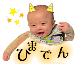 546337817