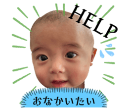 546337821
