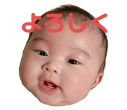 546339154