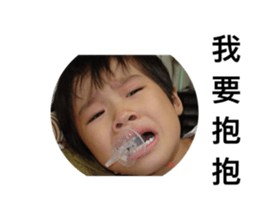 546347204
