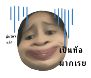 546347442