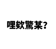 546382087