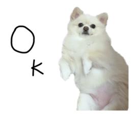 546384566