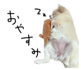 546384569