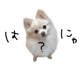 546384576