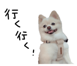 546384579