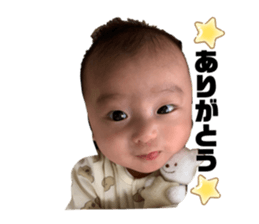 546386893