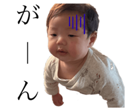 546406108