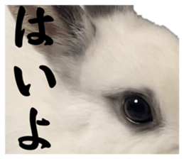 546420073